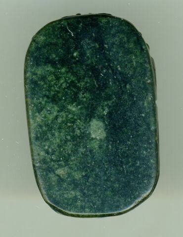 scarabée détaillé, image 3/4