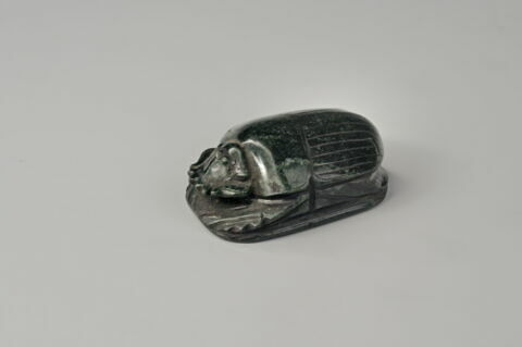 scarabée détaillé, image 2/4