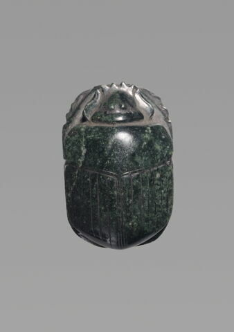 scarabée détaillé, image 1/4