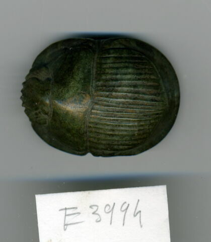 scarabée de cœur, image 1/1