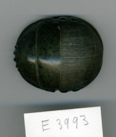 scarabée de cœur, image 1/1