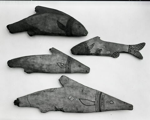 sarcophage de poisson ; momie de poisson, image 4/4
