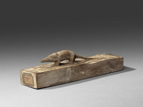 sarcophage de musaraigne ; momie d'animal