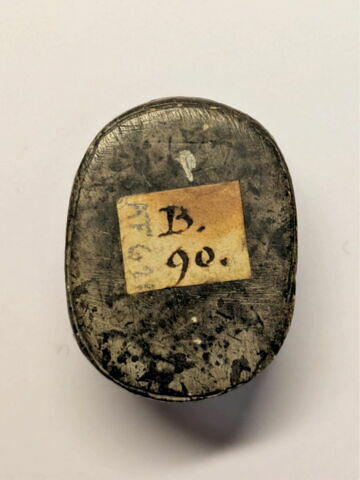 scarabée ; scarabée funéraire, image 2/2