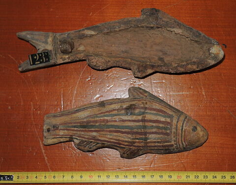 sarcophage de poisson, image 3/3