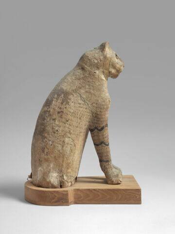 sarcophage de chat ; momie de chat, image 4/6