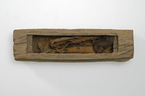 sarcophage de serpent ; élément momifié, image 3/4