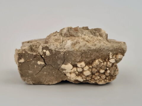 statuette, image 3/5