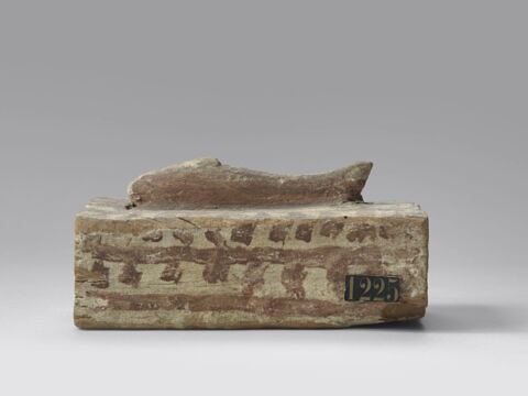 cercueil de poisson ; momie de poisson, image 6/6