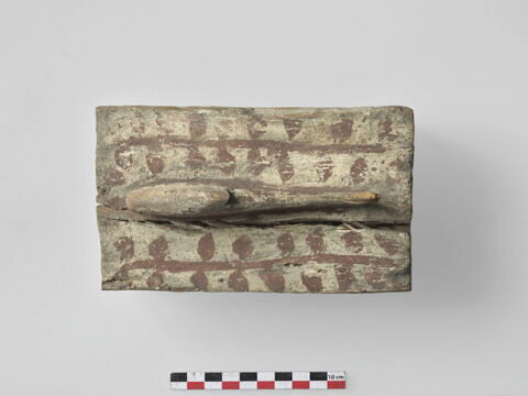 sarcophage de poisson ; momie de poisson, image 2/7