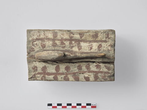 cercueil de poisson ; momie de poisson, image 2/6