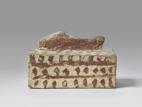 cercueil de poisson ; momie de poisson, image 6/6