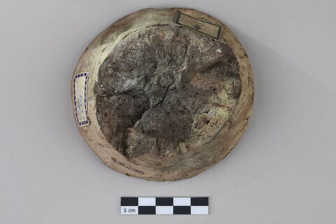 cône funéraire, image 3/7