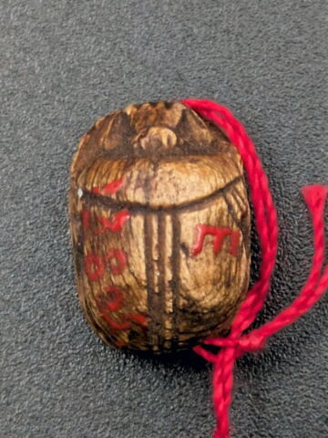 scarabée, image 2/2
