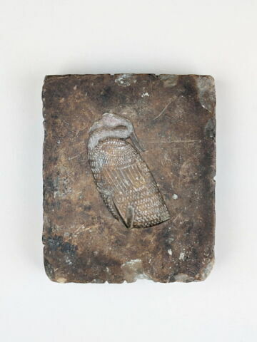 moule à figurine de cire