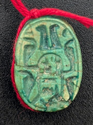 scarabée, image 1/2