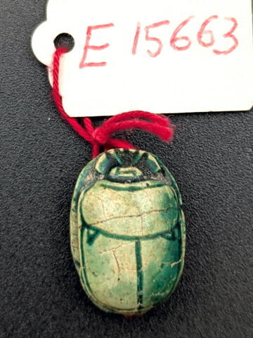scarabée, image 2/2