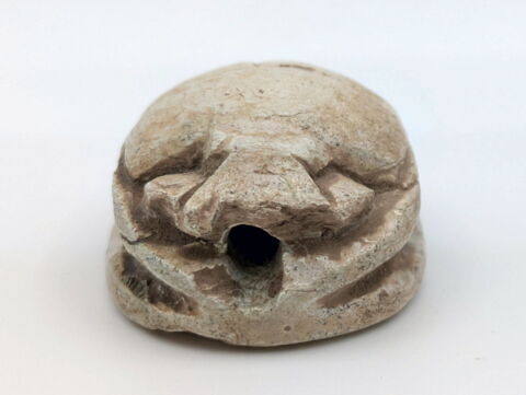 scarabée, image 3/6
