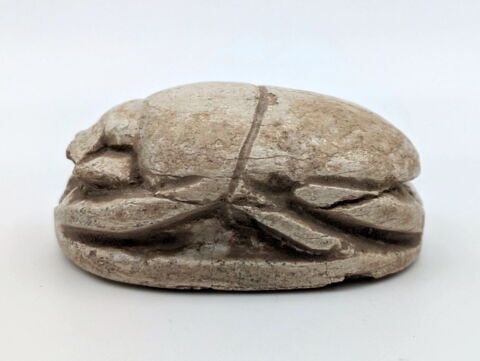 scarabée, image 5/6