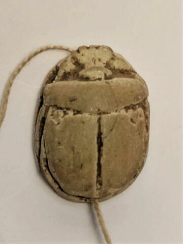 scarabée, image 2/6