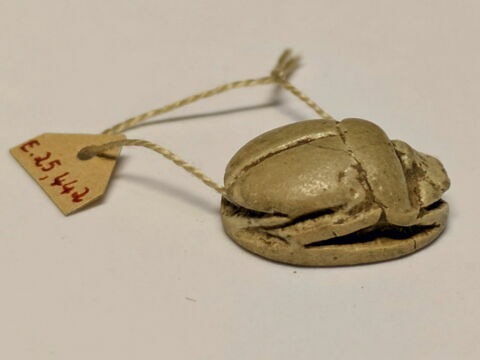 scarabée, image 3/6