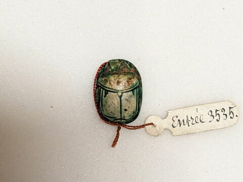 scarabée, image 2/2