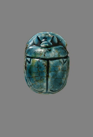 scarabée, image 2/2