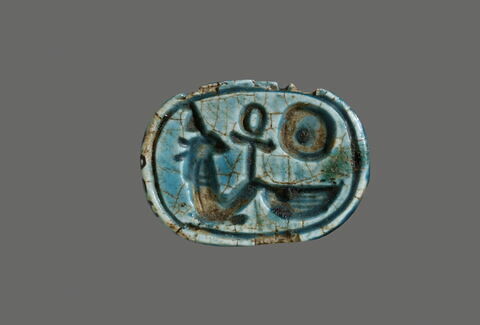 scarabée, image 1/2