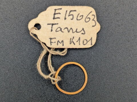 anneau plat, image 1/2