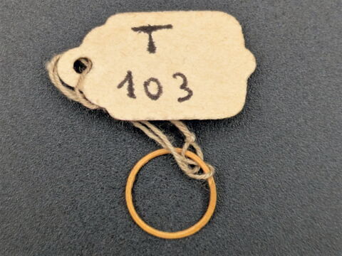 anneau plat, image 2/2