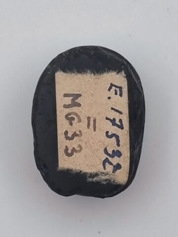 scarabée, image 2/2