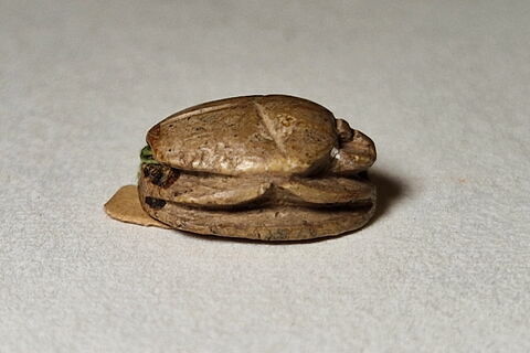 scarabée, image 4/4
