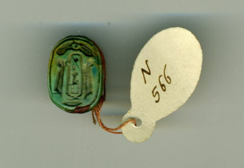 scarabée, image 3/3