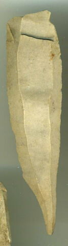 lame brute, image 1/1