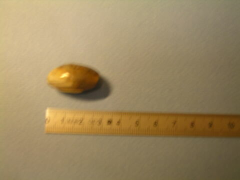 perle en olive, image 1/1