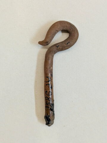 pseudo-momie, image 2/2