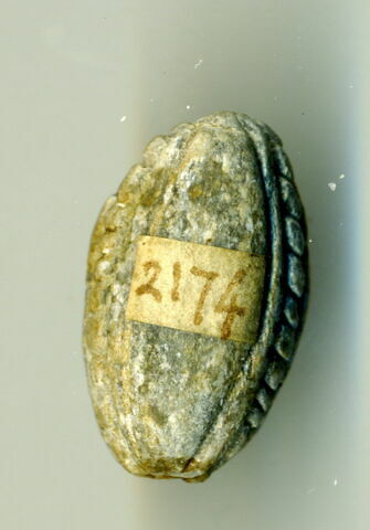 perle cauroïde à cordelette et butées, image 2/2