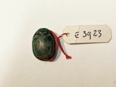 scarabée, image 2/4