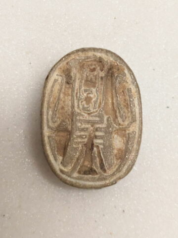 scarabée, image 1/2