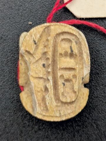 scarabée, image 1/2