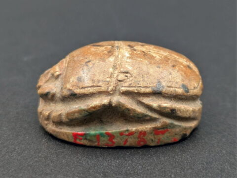 scarabée, image 3/3