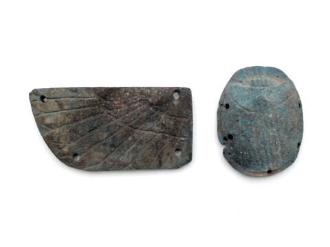 scarabée funéraire ; aile gauche de scarabée funéraire, image 1/2