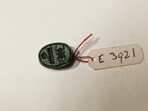 scarabée, image 1/2