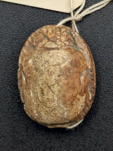 scarabée, image 3/3