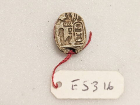 scarabée, image 1/2