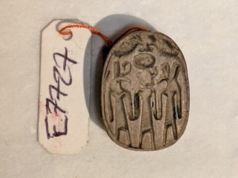 scarabée, image 1/2