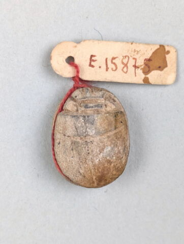 scarabée, image 2/2