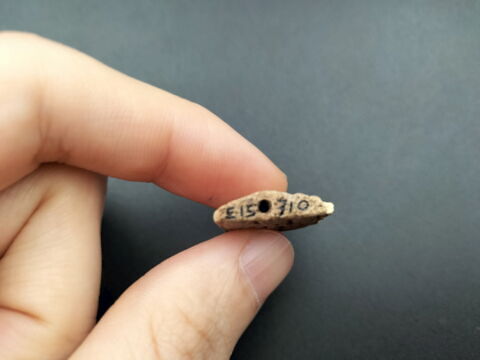 amulette oudjat ; plaquette, image 3/3