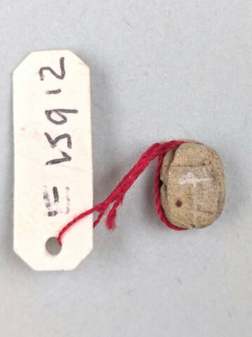 scarabée, image 2/2