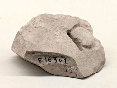 moule d'orfèvre ; chevalière, image 3/3